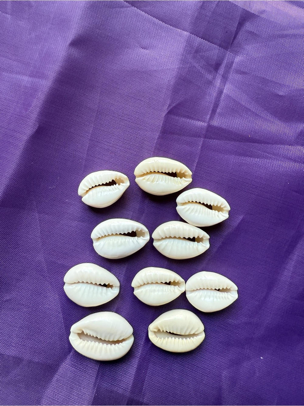 Natural Cowrie Shells - Smooth White Sea Shells (Set of 10) Craft Home New